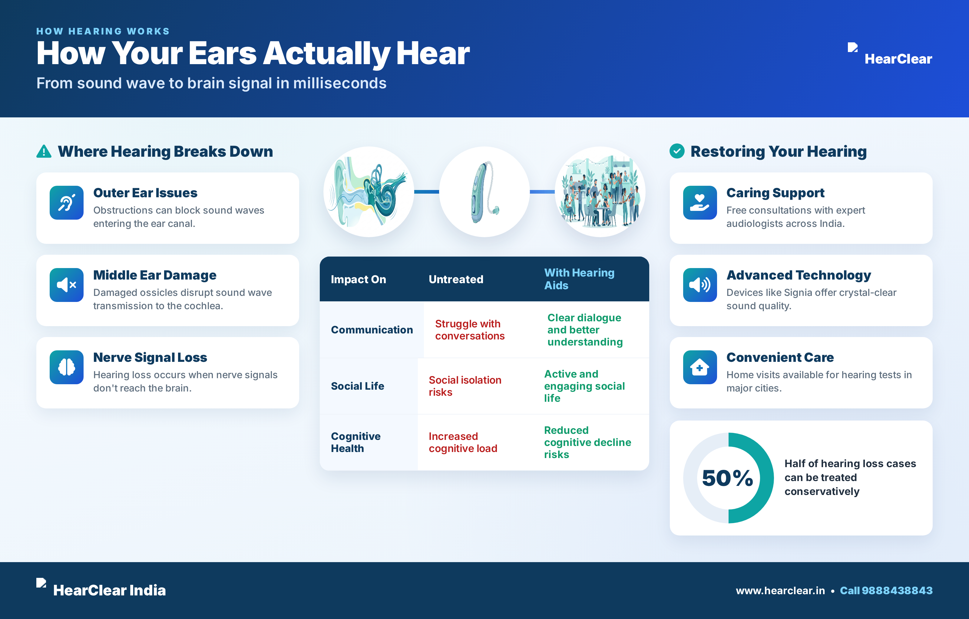 How Your Ears Actually Hear — From sound wave to brain signal in milliseconds infographic